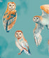 Longarm Shirt Owls